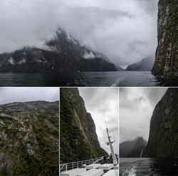      (Milford Sound).        (The Lion, 1302 ),  , ,  .