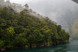      (Milford Sound).<br>  ,   .