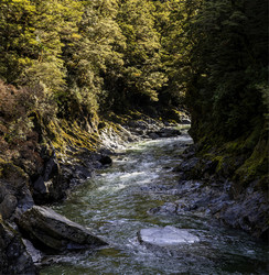     Mount Aspiring.   Blue River.