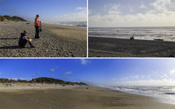    Tauperikaka Point    Ship Creek.     (Tasman See).     .