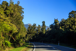  Haast Highway    (Lake Moeraki)       .