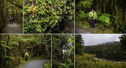     (Lake Matheson).      .