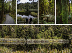     (Lake Matheson).     .