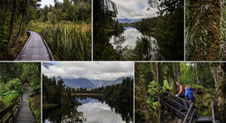     (Lake Matheson).       .