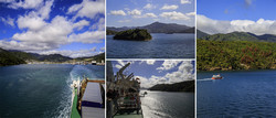  Arahura.       (Queen Charlotte Sound).