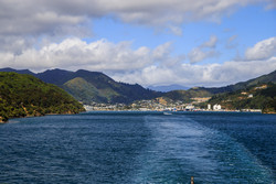  Arahura.  (Picton)   .