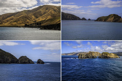  Arahura.            (Tory Channel)    (Cook Strait)        .