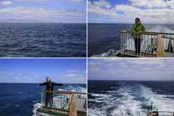  Arahura.    (Cook Strait) ,    ,        .