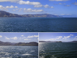   Arahura    (Cook Strait).   ,        (Wellington Harbour),      (Port Nocholson).