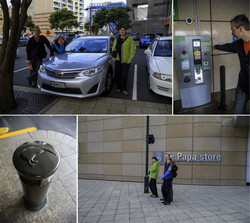  (Wellington).           Te Papa Tongarewa.