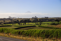    Mt.Egmont/Taranaki    Waingongoro River  Ohawe Beach.