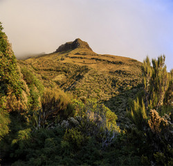     Mt.Egmont/Taranaki.      Warwick Castle.