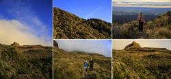     Mt.Egmont/Taranaki   Warwick Castle          .