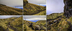     Mt.Egmont/Taranaki    ,        .