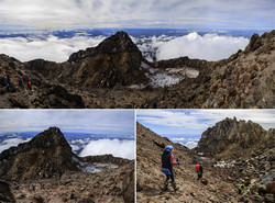      Mt.Egmont/Taranaki 2518.      Sharks Tooth 2510.