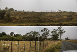         Backland Road,     (Hobbiton).