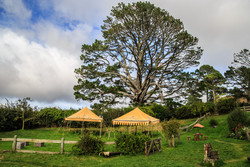    (Hobbiton).        ,  Party Tree.   -     .