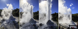  (Rotorua).   Wai-O-Tapu Thermal Wonderland. ,       (Lady Knox Geyser).