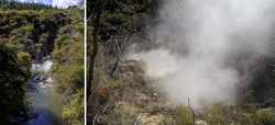  (Rotorua).   Wai-O-Tapu Thermal Wonderland.     ,    .