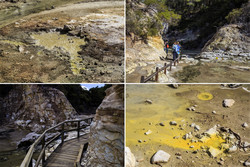  (Rotorua).   Wai-O-Tapu Thermal Wonderland. -   -- (Wai-O-Tapu Gayser).     ,       .