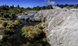  (Rotorua).  Te Puia.   (Pohutu Geyser)  .