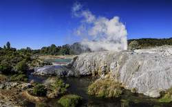  (Rotorua).  Te Puia.    (Pohutu Geyser).