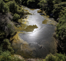  (Rotorua).    Te Puia.