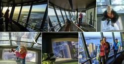  (Auckland).    Sky Tower.       .