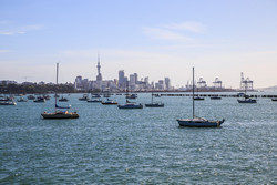  (Auckland).        Kelly Tarlton's SEA LIFE Aquarium   Okahu Bay .