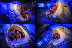  (Auckland).  Kelly Tarlton's SEA LIFE Aquarium.  ,  .