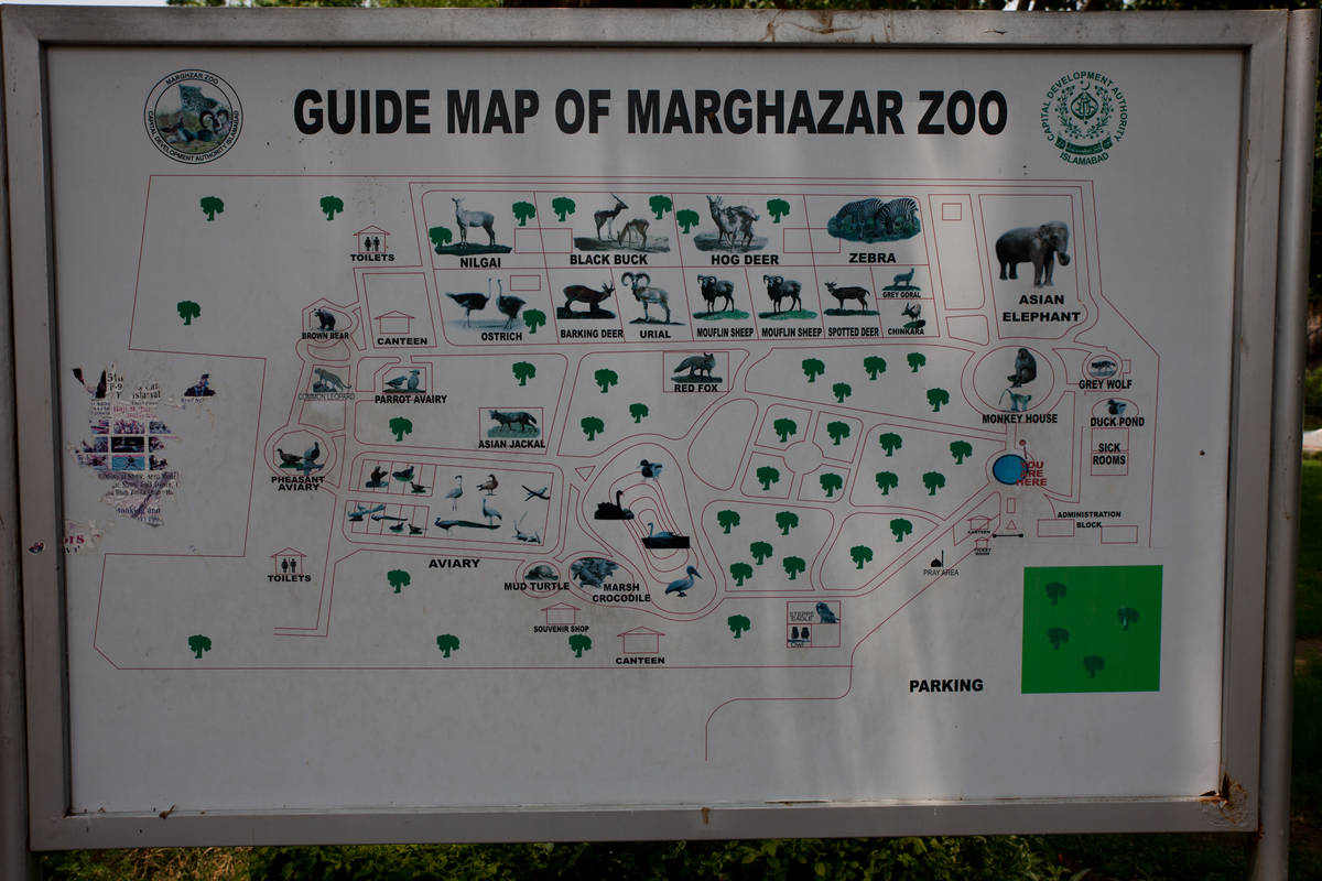  (Islamabad).<br>  Marghazar Zoo.