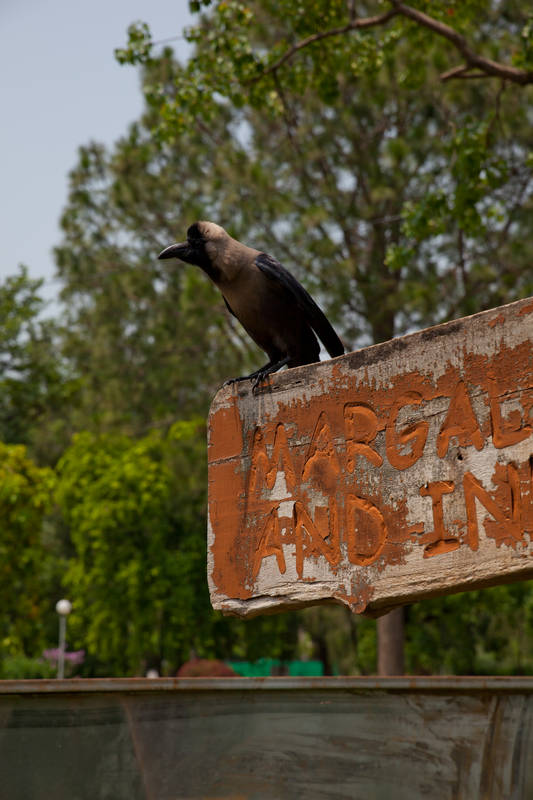  (Islamabad).<br> Marghazar Zoo.<br>-  .