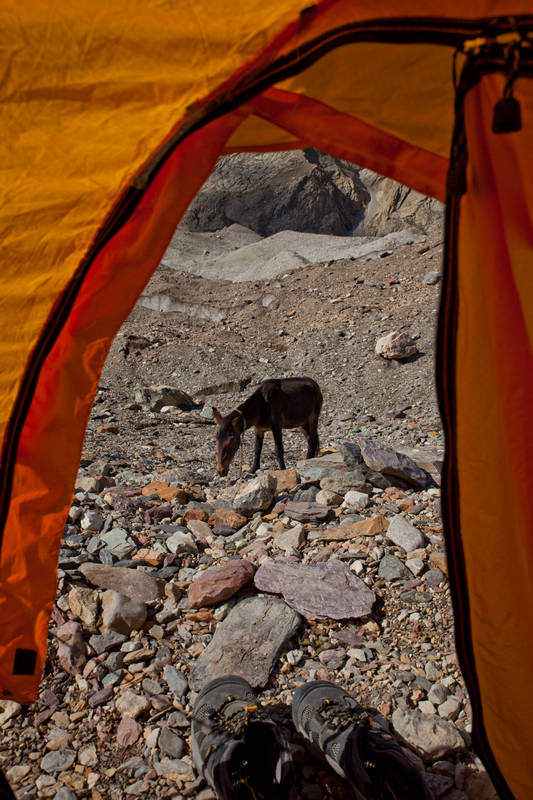       I (Goro I)    (Baltoro Glacier).