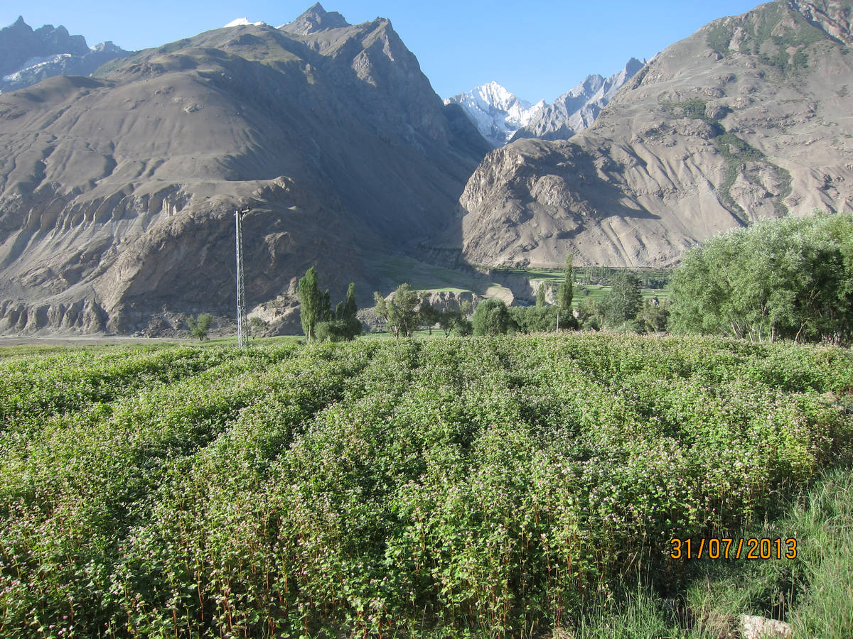    (Askole)   (Skardu).<br>           (Braldu River).