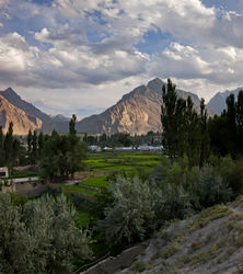  (Skardu).<br>-     .