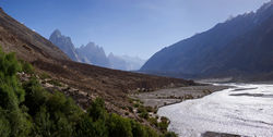        (Paiju).<br>      (Baltoro Glacier).