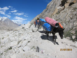        (Baltoro Glacier)    (Khoburtse).