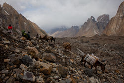     (Baltoro Glacier)    (Urdukas).<br>     .