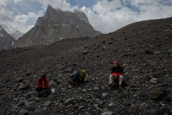       (Baltoro Glacier)      (Concordia).