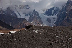       (Baltoro Glacier)       (Concordia).