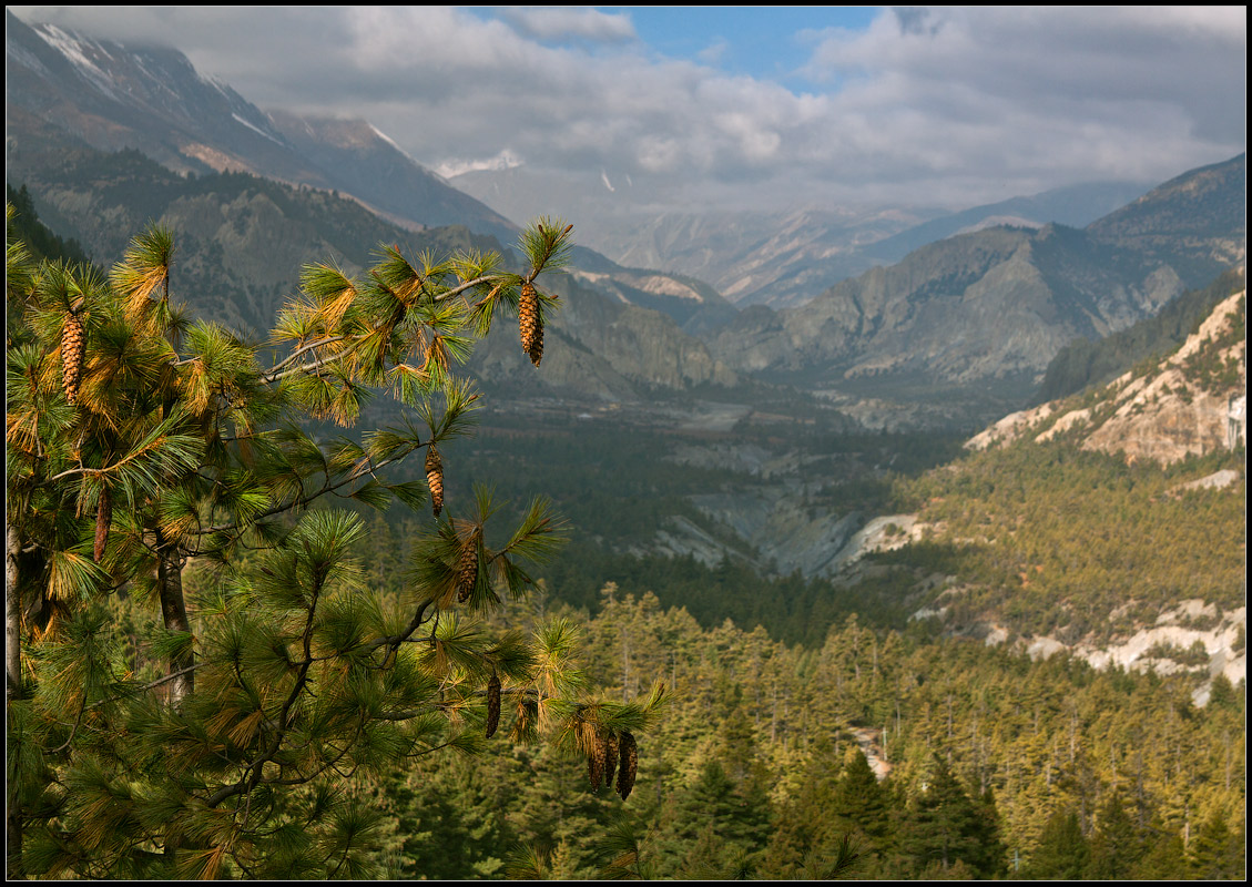 View Point  Lower Pisang  Humde.    Humde  .