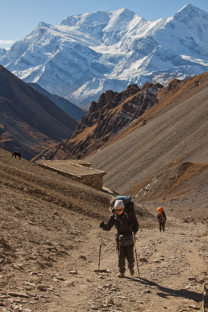   Thorung Phedi  High Camp.  .