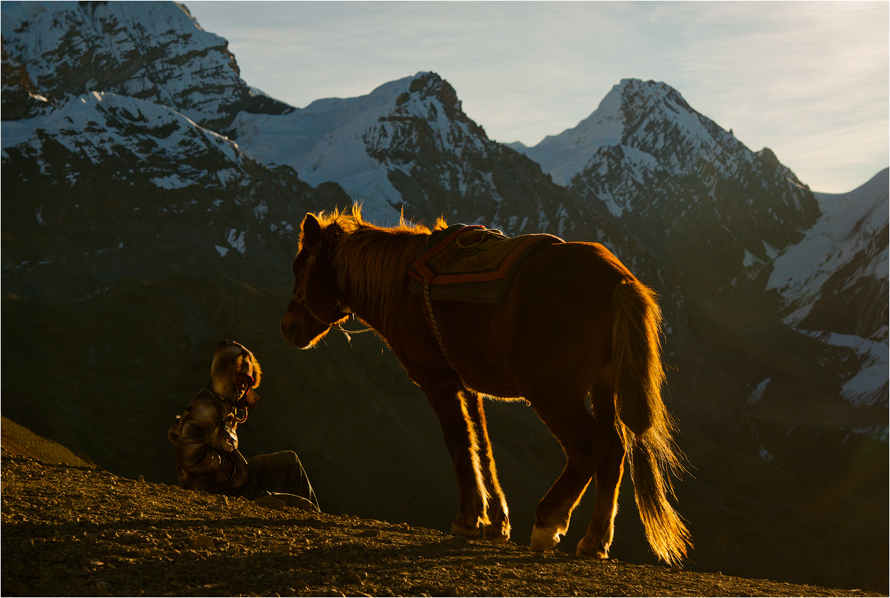    Thorung. Horse Service.        .