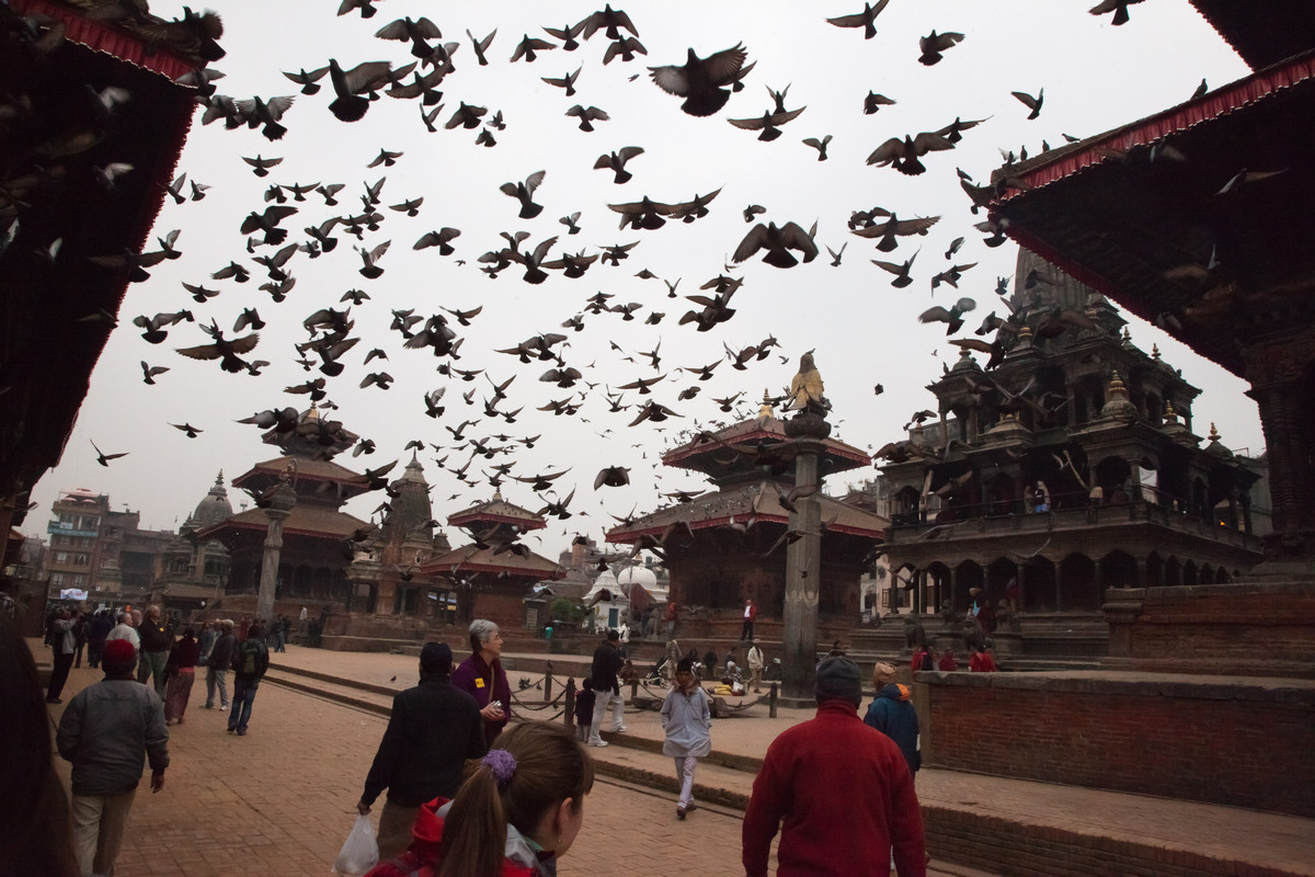     (Pothan Durbar Square).