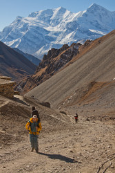   Thorung Phedi  High Camp.  .