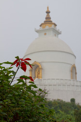 .   World Peace Pagoda.