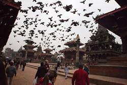     (Pothan Durbar Square).