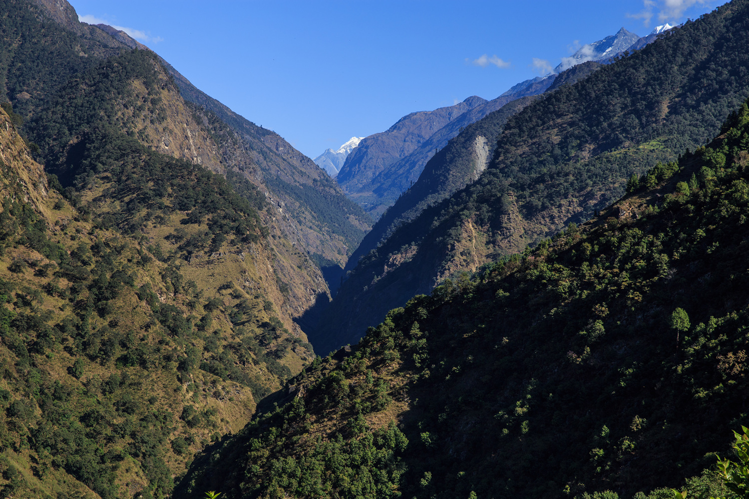      (Jubing)   (Kharikhola)     Dudh Koshi,     .