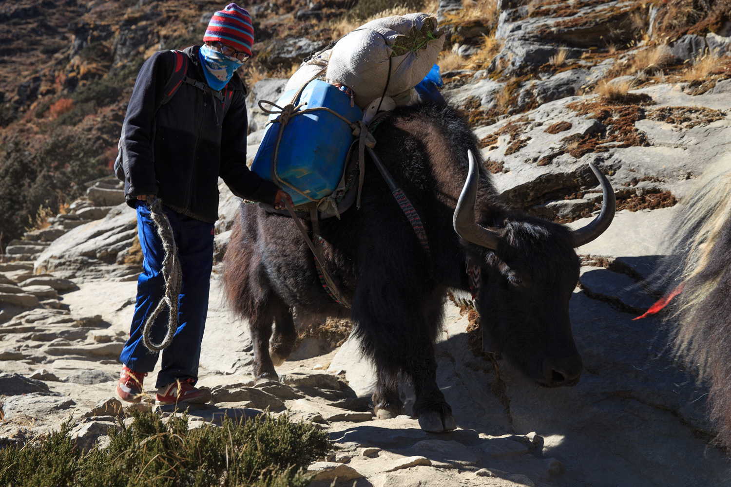          Imja Khola   Shomare     (Pangboche).