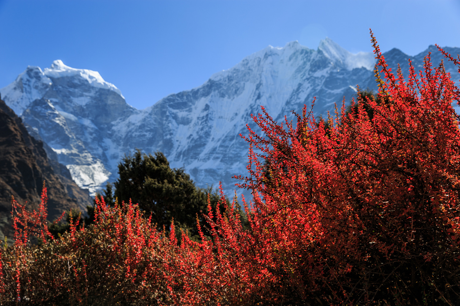       (Tengboche).